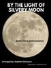 By The Light Of The Silvery Moon (Duet for C-Instruments)
